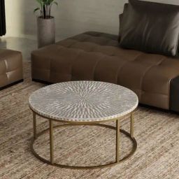 Casagold Sunstrike Vegan Shell Inlay Coffee Table With Stand - Grey-1