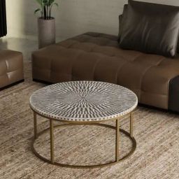 Casagold Sunstrike Vegan Shell Inlay Coffee Table With Stand - Black-0