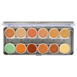 Lyon Beauty USA 12 Color Concealer Palette - 5 g - CL04-02-37