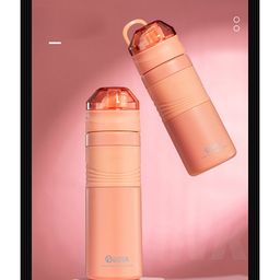 SANJARY Hot & Cold Water Bottle - 550 ml (Colour & Print May Vary)-image-53