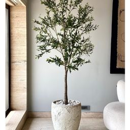 Mason Home Artificial Olive Tree - 7 Feet-51