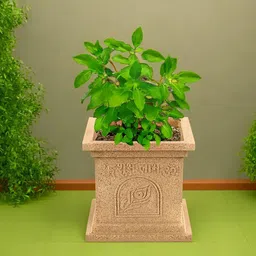 Kuber Industries Pack of 3 Beige Square Planters-image-27