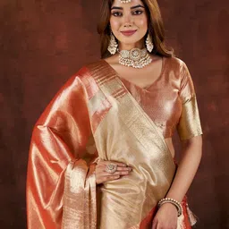 100 Dreams Woven Design Zari Organza Banarasi Saree with Blouse-picture-22