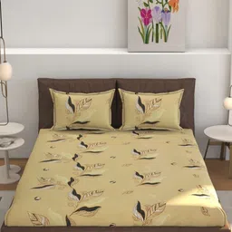 RIDHAAN Mustard & Brown Floral 220 TC Queen Bedsheet with 2 Pillow Covers-41