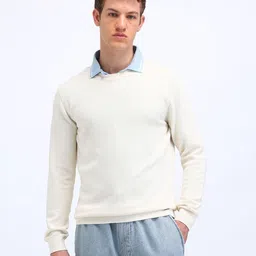 Flying Machine Men Textured Pullover Sweater-image-87