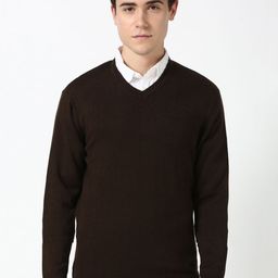 Peter England Casuals Men Pullover-picture-36