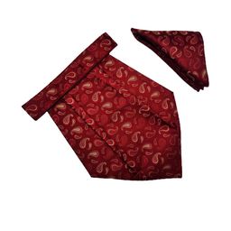 VOICI Men Cravat & Pocket Square-image-24