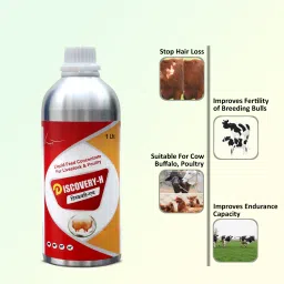 Discovery-H Veterinary for Cow Cattle Poultry & Livestock Animals Pet Health Supplements-0