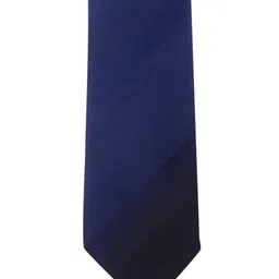 The Tie Hub Black & Navy Blue Colourblocked Skinny Tie-image-54