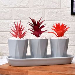 TAYHAA Grey 3 Pieces Artificial Plant With Pot-1