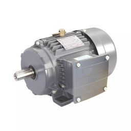 LHP Three Phase 10 HP 2 Pole Foot Mounted Induction Motor-picture-13