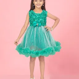 Aarika Embellished Net Fit & Flare Dress-63