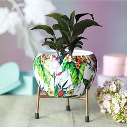 Homspurts White & Green Printed Planters-13