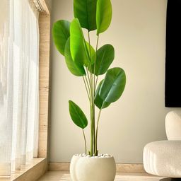 Mason Home Artificial Calathea Palm Tree (6 Feet)-image-45