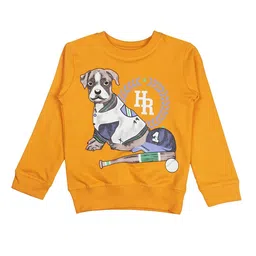 Arshia Fashions Boys Printed Sweatshirt-image-79