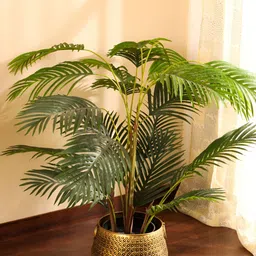 Elemntl Green 1 Pieces Palm With Pot-22