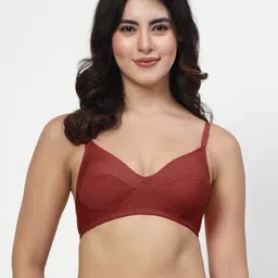 LILY manoop Pack Of 4 Full Coverage Seamed Non Padded Bra image 2