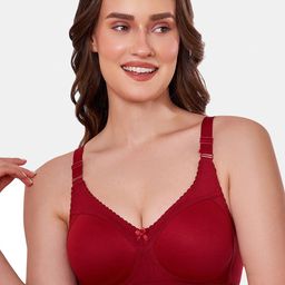 MAROON Non Padded All Day Comfort Full Coverage Seamless Super Support T-shirt Bra-14