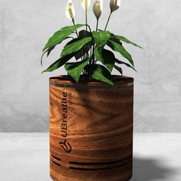 uBreathe Mini Classic Air Purifying Planter - Area Coverage Upto 80 Sqft-15