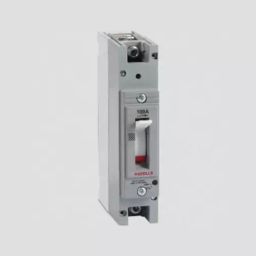 Havells 1 Pole 160 A Moulded Case Circuit Breakers, IHLGNIAS0160#-36