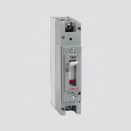 Havells 1 Pole 150 A Moulded Case Circuit Breakers, IHLGHDAS0150# image 1