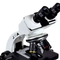 Labovision Binocular Compound Microscope With Led Illumination System image 3