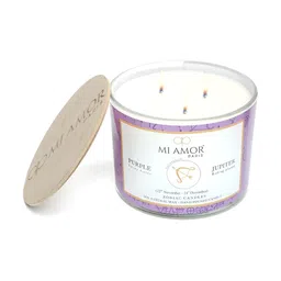 MI AMOR PARIS Zodiac Sagittarius White Scented 3 Wick Jar Candle-34