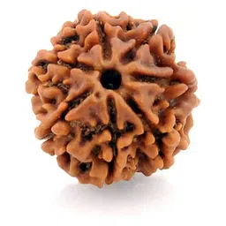 GenZcomplex Unisex Seven Mukhi Contemporary Rudraksha Pendant-15