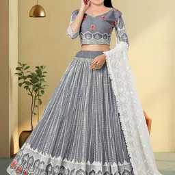 F Plus Fashion Silver Net Lehenga Choli-picture-27