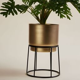 VoiDrop Yellow & Black Decorative Floor Planter With Stand-16