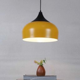 Shyrelix Black Iron Hanging Light | E27 holder | without Bulb | Eliante by Jainsons Lights-picture-0