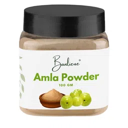 Banlieue Amla Powder Hair Mask- 100 g-46
