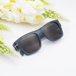 Ted Smith Unisex Wayfarer Sunglasses with UV Protected LensMORTY_C6-50
