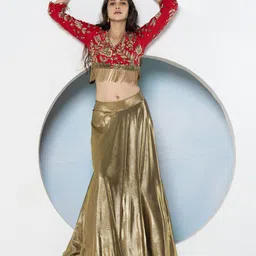 GloballyRonakRBafna Embroidered Sequinned Ready to Wear Lehenga Choli-picture-12