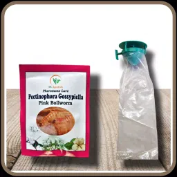 Sk Agrotech Pectinophora gossyplia- pink bollworm pheromone lure & funnel trap-image-2