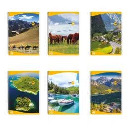 Youva Spiral Note Book A4 400 Pages Assorted Single Line 23496, (Pack of 6)-11