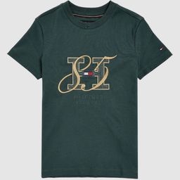 Tommy Hilfiger Boys Typography Printed Round Neck Cotton T-Shirt-picture-45