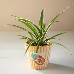 FREEDOM TREE Gypsy Yellow & White Striped Ceramic Planters-29