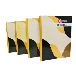 IB BASICS 555 GSM Box Index File With Lamination Legal A4 SizeAssorted Color (Pack of 4)-8