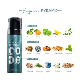 Wild stone Men Combo Code Copper, Steel and Titanium Body Perfume Spray - 120 ml each image 2