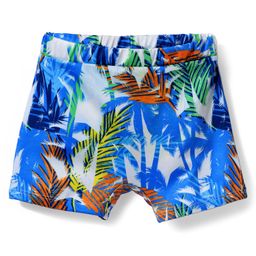 Babyhug Water Repellant Swimming Trunk With Tropical Theme Print - Blue-image-94