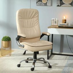 Vassio Leatherette Beige Revolving Chair For Office-22
