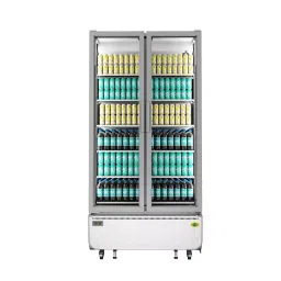 WESTERN Visi Cooler Without Canopy 908 L White Dual Door Swing Type 12 Sleeves & 7 + 8 Facing, SRC1050HC-GL-image-34
