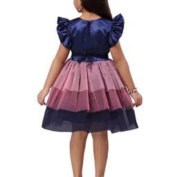 BAESD Flutter Sleeve Net Fit & Flare Dress image 5