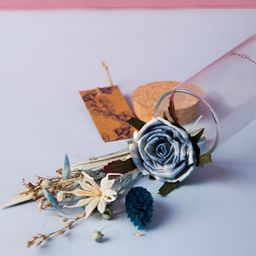 Fabindia Blue & White 2 Pieces Rose Artificial Flower With Pot-26