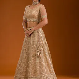 Koskii Embellished Sequinned Net Ready to Wear Lehenga & Blouse With Dupatta image 3