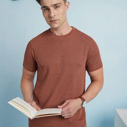 Dennis Lingo Men Textured Round Neck Half Sleeves Regular Fit T-shirt-image-59