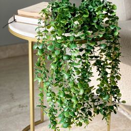 Mason Home Artificial Climing Fig Succulents - (Set Of 2)-10