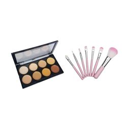 skrynnzer Set Of 2 8 Shades Concealer & 7-Pcs Brush Set-41