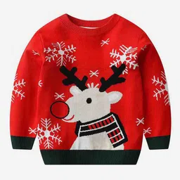 Little Surprise Box LLP Kids Self Design Pullover Sweaters-image-31